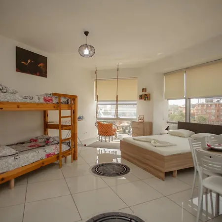 446, Center * Shkoder