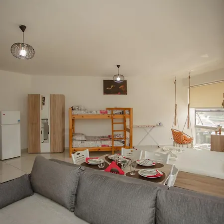 446, Center Shkoder