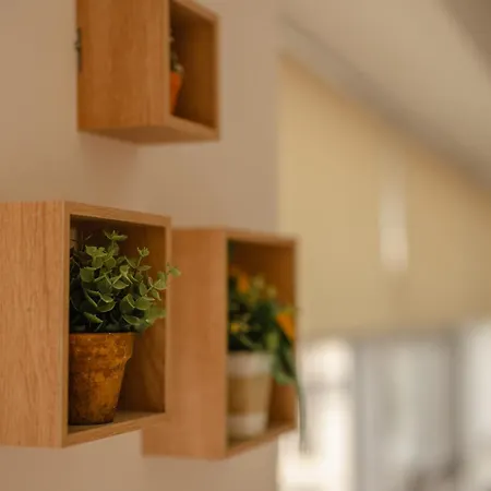 Apartment 446, Center Shkoder