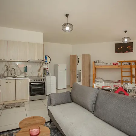 446, Center Shkoder